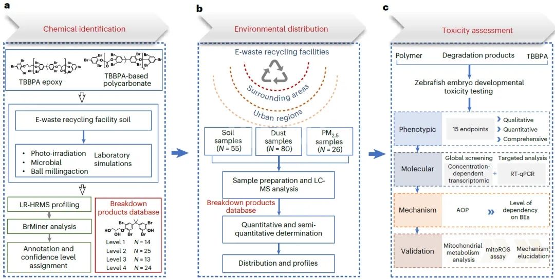 Figure 1. Investigating the degradation of polyTBBPA and its subsequent environmental or health risks Figure 1. Enquête sur la dégradation du polyTBBPA et ses risques environnementaux ou sanitaires ultérieurs