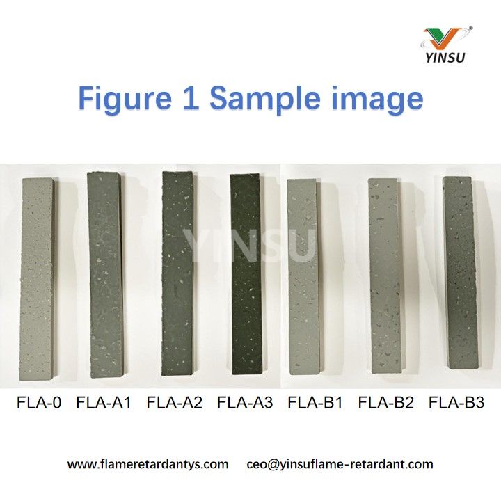 Figure 1 Exemple d'image