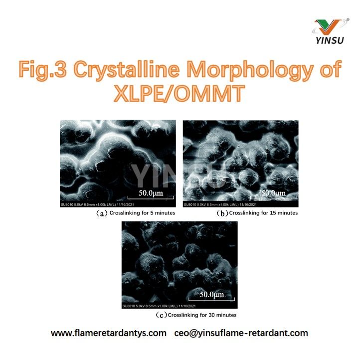 Fig.3 Morphologie cristalline du XLPE