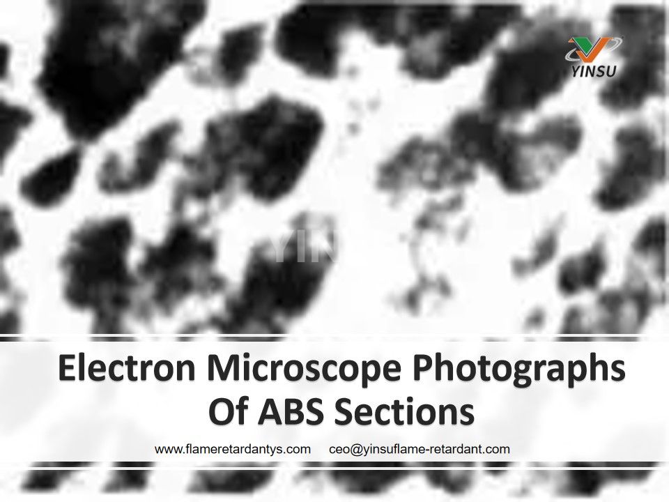 Photographies au microscope électronique des sections ABS