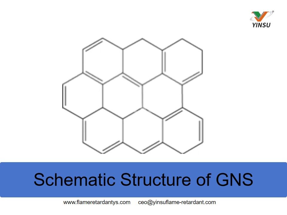 Structure sch&eacute;matique du GNS
