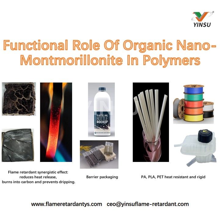 R&ocirc;le fonctionnel de la nano-montmorillonite organique dans les polym&egrave;res