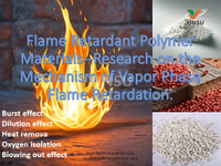 //inrorwxhnnrilk5q-static.micyjz.com/cloud/lqBprKkqlrSRmkiiljlpjo/Flame-Retardant-Polymer-Materials-Research-on-the-Mechanism-of-Vapor-Phase-Flame-Retardation.jpg