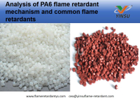 //inrorwxhnnrilk5q-static.micyjz.com/cloud/lrBprKkqlrSRqkopjonpjp/Analysis-of-PA6-flame-retardant-mechanism-and-common-flame-retardants.jpg